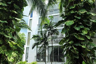Casuarina Shores Apartments
