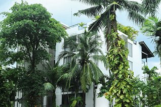 Casuarina Shores Apartments