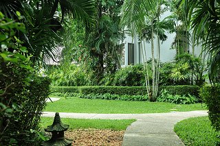 Casuarina Shores Garden