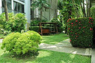 Recreation area with swing in the garden