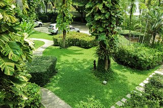 Casuarina Shores Garden