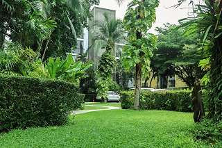 Casuarina Shores Garden