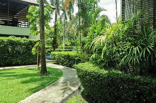 Path to the sports pool