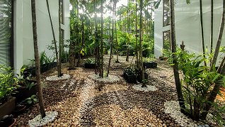Casuarina Shores Rock Garden