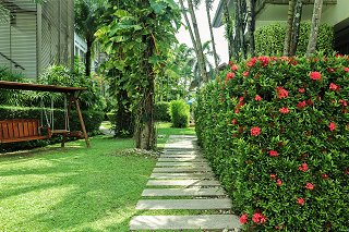 Recreation area with swing in the garden