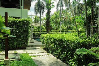 Path to the sports pool