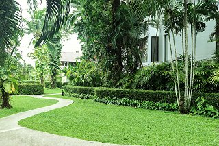 Casuarina Shores Garden