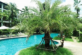 Casuarina Shores Family Pool