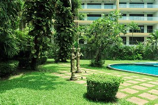 Keepers of the Casuarina Shores Garden