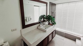 Bathroom in the master bedroom