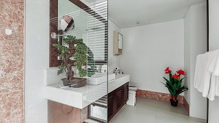 Bathroom in the master bedroom