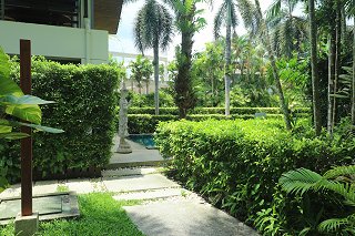 Path to the sports pool