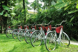 Free bikes