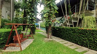 Swing in the garden